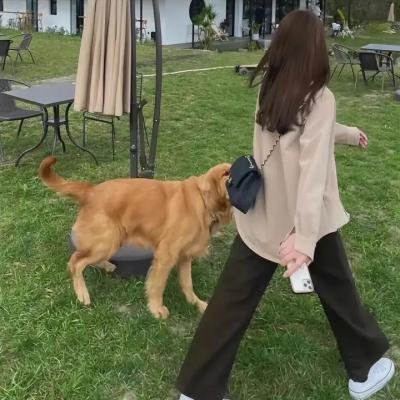 呼叫助产士 第一季